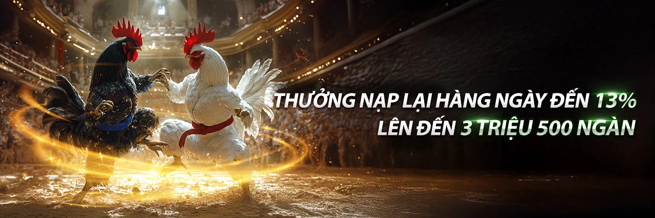 Đá Gà Trực Tuyến Sôi Động Tại Kubet888