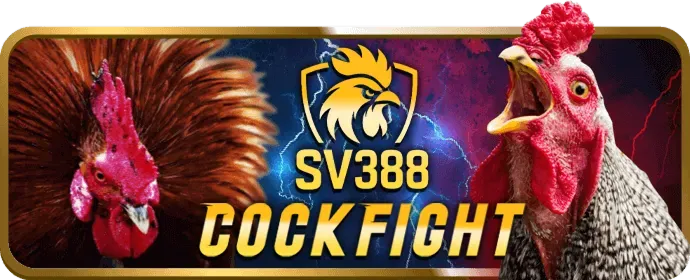 Các chương trình khuyến mãi và ưu đãi hấp dẫn tại Kubet888